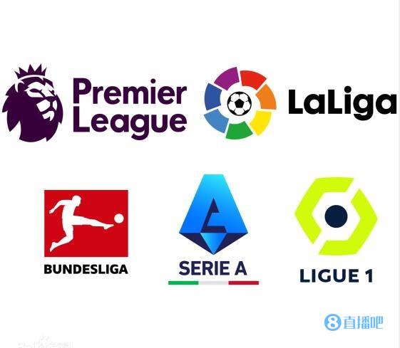 关注的球员 关注的球员