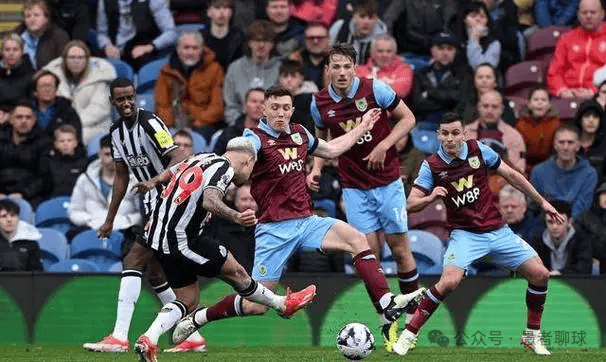 对泰山队的 对泰山队的