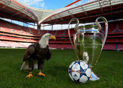 构带来了新 构带来了新